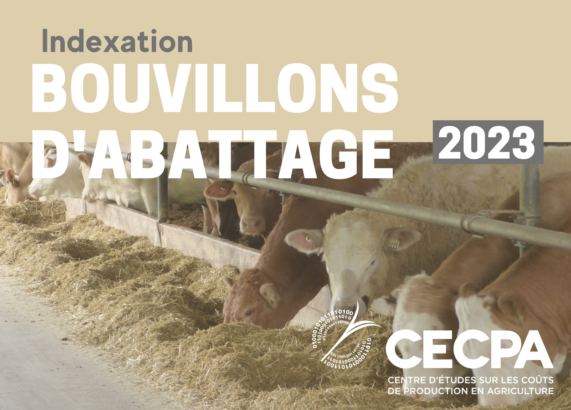 Informations complémentaires : INDEXATION 2023 - BOUVILLONS D'ABATTAGE